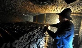 炭变在线观看,穿越时空的奇幻之旅